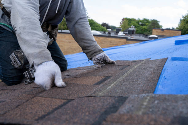 Best Residential Roofing Contractor  in Dunsmuir, CA