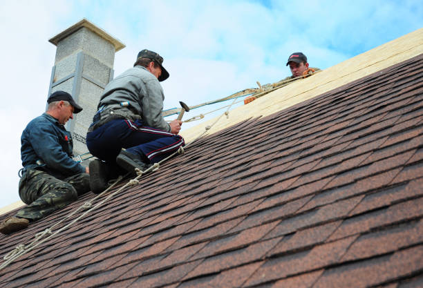 Best Gutter Installation and Roofing  in Dunsmuir, CA